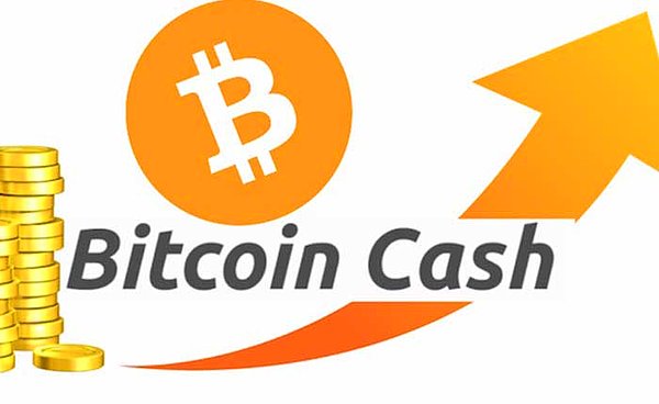 4. Bitcoin Cash (Pazar payı: 17 Milyar Dolar)