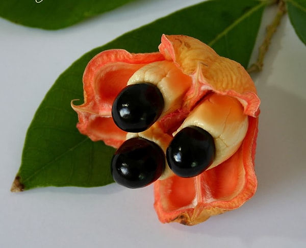 3. Думай-гадай, что это за фрукт, а мы подождем ;)