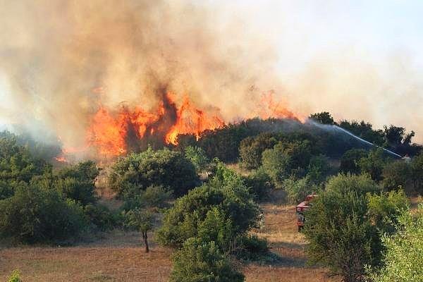 50 hektarın yok olduğu yangın sosyal medyanın da gündeminde📌