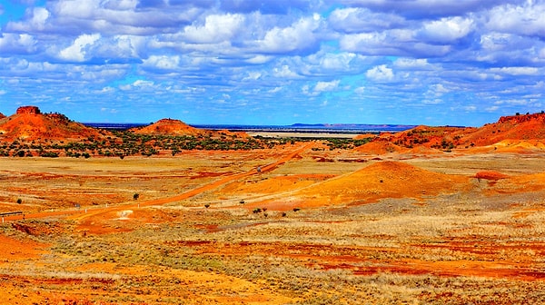 5. Какое животное представляет Австралию?