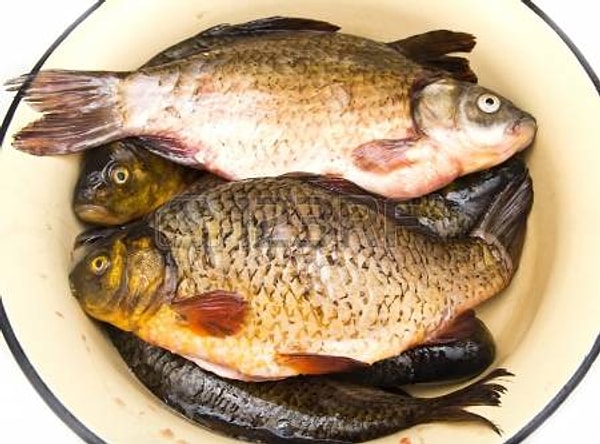 7. Переходим в рыбный отдел. Во сколько обходился 1 кг карпа?