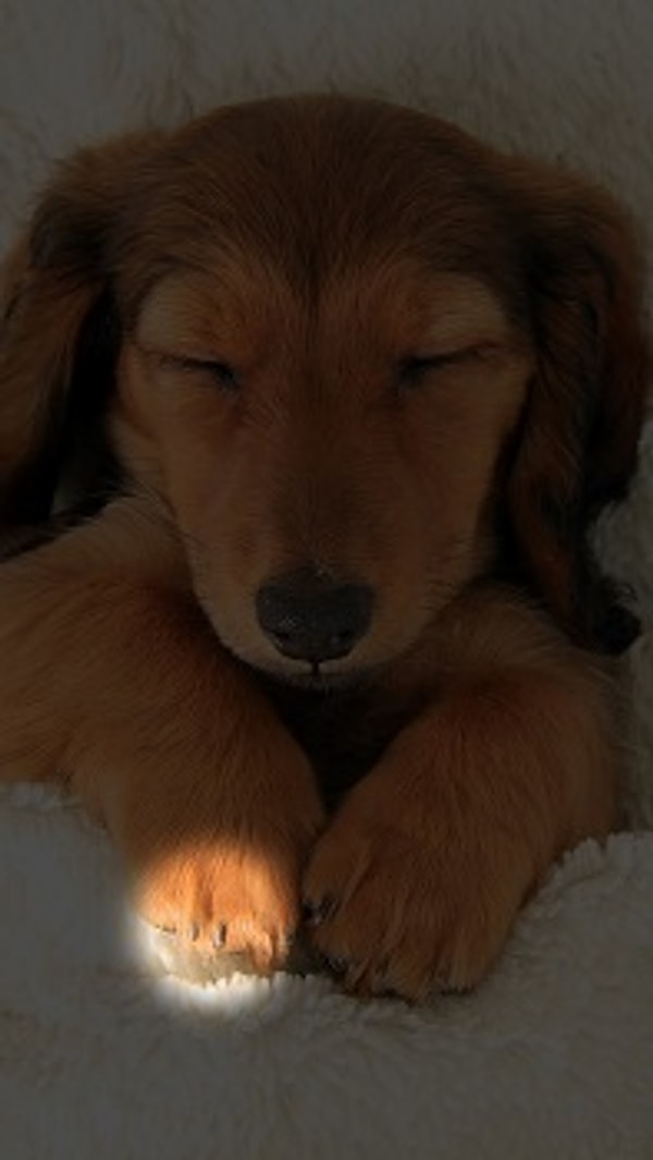 Посмотреть правильный ответ: