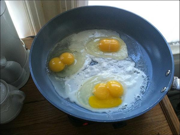 7. Üç tane ikiz yumurta... Denk gelme olasılığı ise % 0.003!
