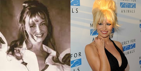 5. Хессика Шульц и Памела Андерсон