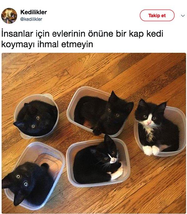 Sokaktaki kedilerin üşümemesi için evinin önüne de barınak yaptırmış Murat Amca. Herkesin evinin önüne bir kap yemek ve su koyması durumunda şehirdeki kedilerin aç-susuz kalmayacağını da söylüyor.