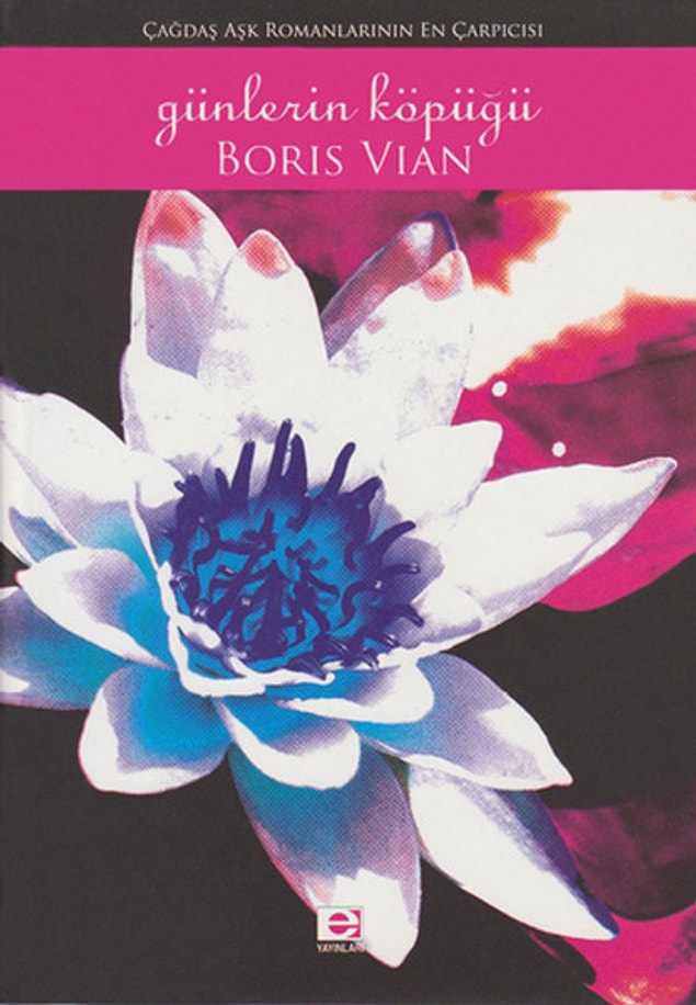 23. Günlerin Köpüğü - Boris Vian