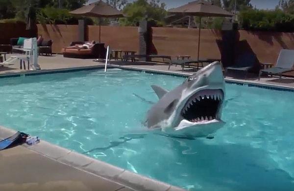 1.000.000 lira karşılığında içinde köpekbalığı olan havuzda 10 saniye kalır mısın?
