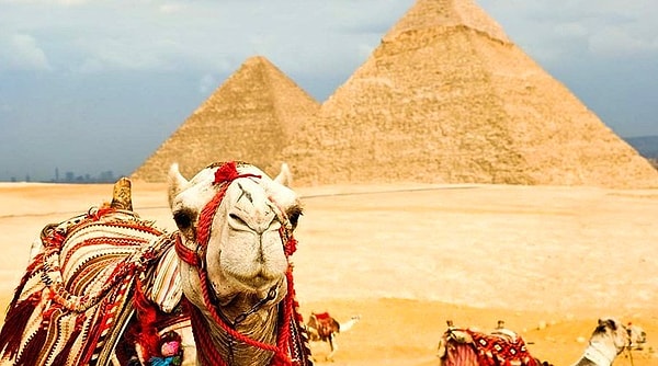 Вы получите предложение в Индонезии, поженитесь в Лос-Анджелесе и проведёте медовый месяц в Египте.