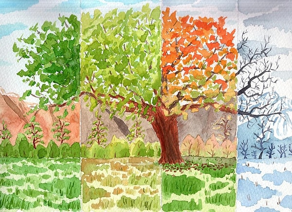 2. Была бы ваша воля, какой сезон длился бы круглый год?