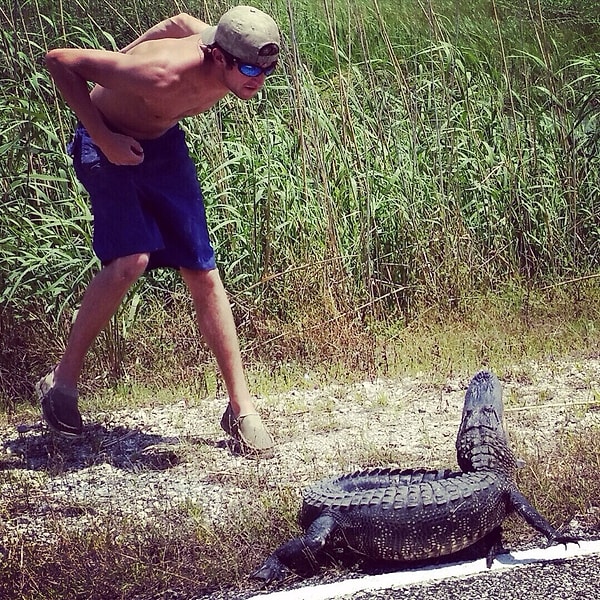 2. "Отвали от меня, крокодил! Что? Ну не плачь, иди обниму".
