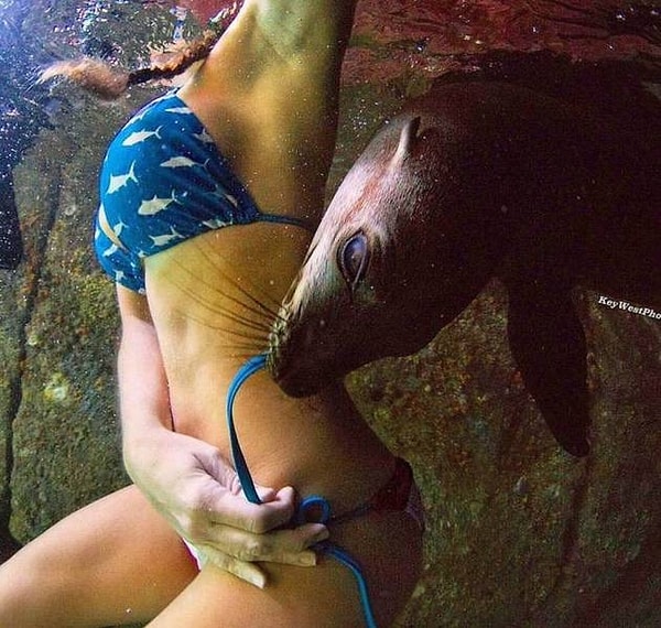 15. Мужики, они и есть мужики. Даже если они морские котики