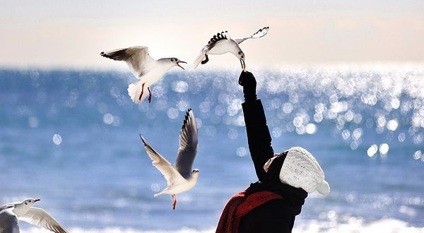 7. С каким высказыванием вы согласны?