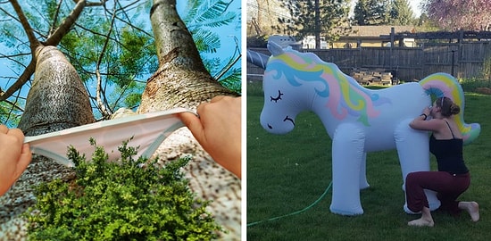 А давайте посмеемся?! Подборка интригующих фотографий, которые мигом прогонят скуку