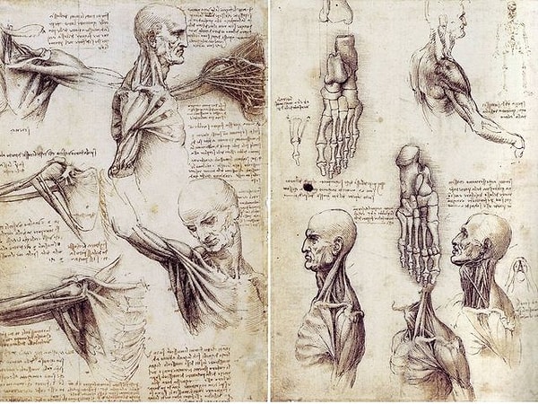 9. Как называется повреждение с нарушением целостности костей?