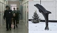 «Черный дельфин» изнутри: как проводят годы своей жизни пожизненно осужденные преступники в России