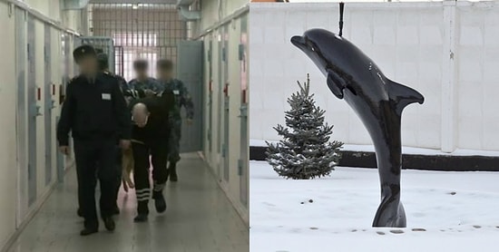 «Черный дельфин» изнутри: как проводят годы своей жизни пожизненно осужденные преступники в России