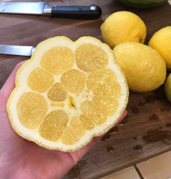 8. Bu limon da 5. boyuttan.