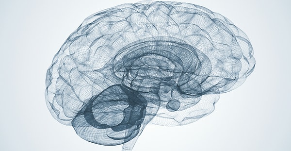 4. Правда или ложь: человек использует только 10% своего мозга