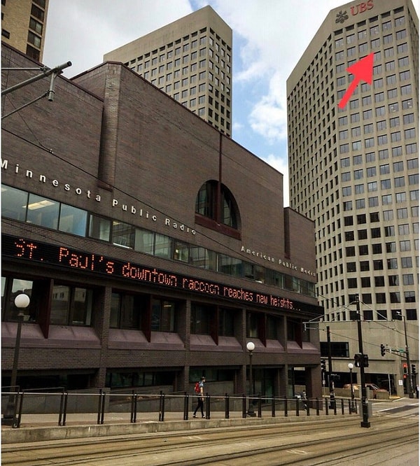 4. Вы только посмотрите, как высоко!