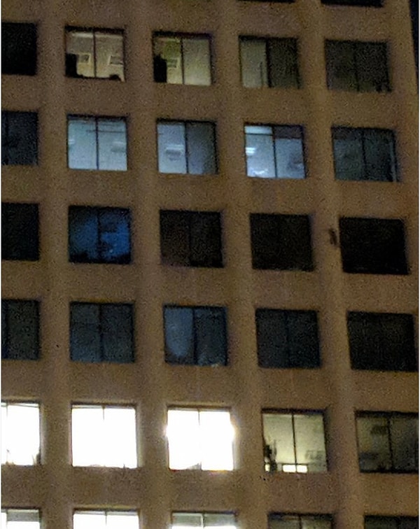 16. Зверек начал спускаться вниз!