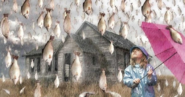 5. Когда над водой образуются мощные торнадо, они высасывают рыбу и других обитателей морей и поднимают их в воздух. Потом шторм перемещается на сушу и постепенно затихает, в результате чего и идут вот такие дожди из рыбы.