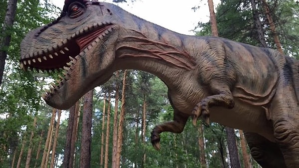 5. В пустыне Сахара были найдены кости второго по величине в мира динозавра (размером с автобус).