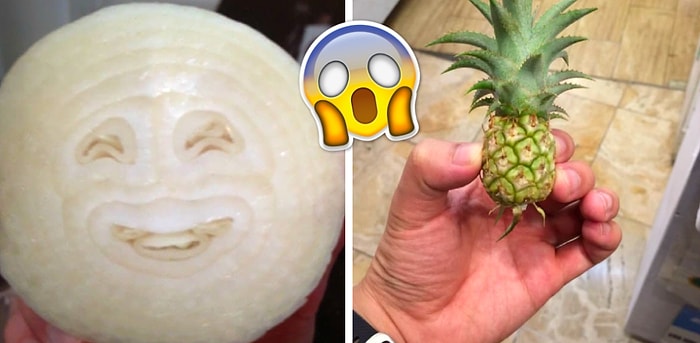 Удивительные фото еды, которые вы вряд ли где-то ещё увидите вживую