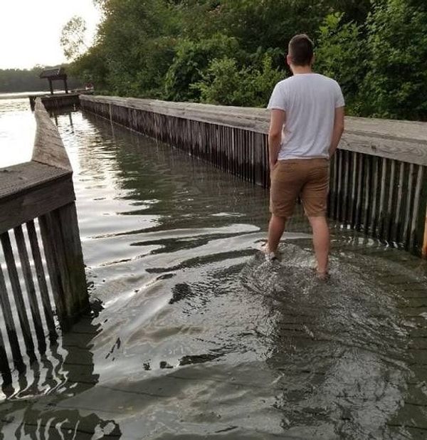 14. Никакой потоп не заставит меня сидеть дома, если я хочу на прогулку