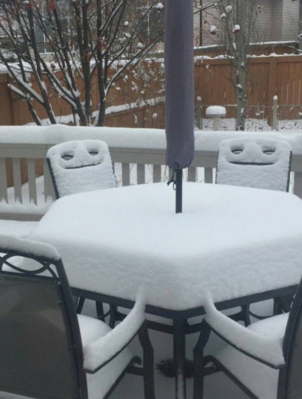 1. Собрались дружбаны, которые обожают зиму