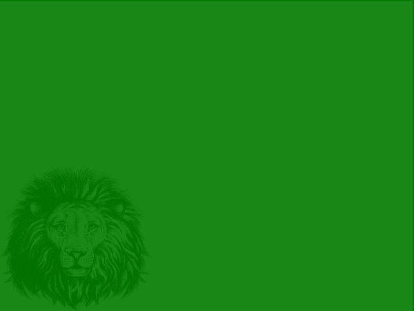 Показать правильный ответ: