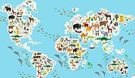 Тест: Сможете ли вы угадать, в каких частях света обитают все эти животные?