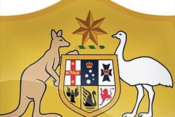 28. У какой команды один из лучших логотипов на тему животных?