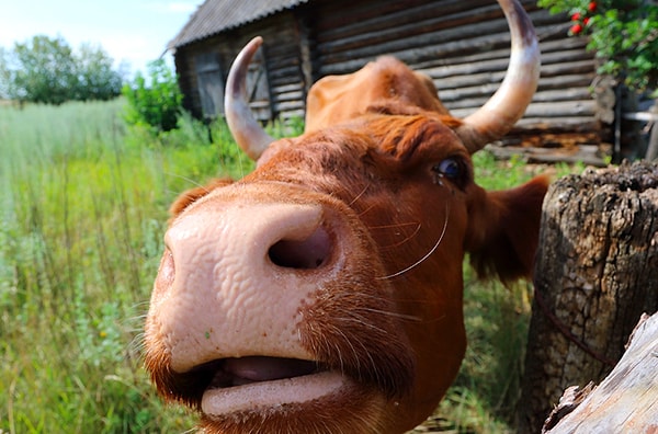 8. Можно кардинально изменить свой образ жизни