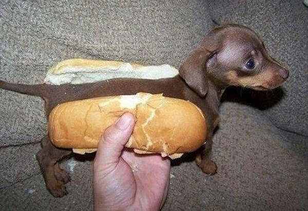 18. Настойщий хот-дог!