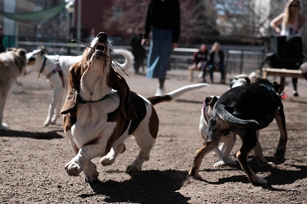 6. "Маленькое счастье"