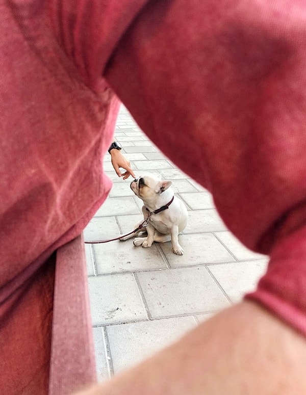 9. "Выбор неба"