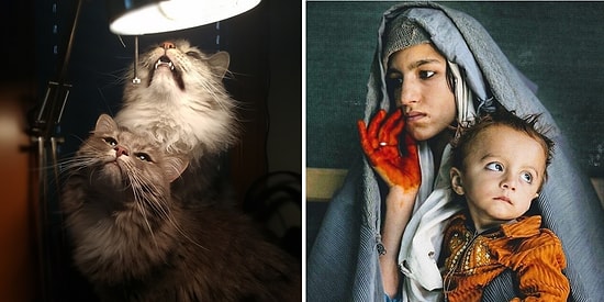 Мастера, которые смогли превратить красивые фото в настоящие картины эпохи Ренессанса