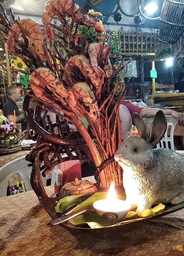 15. Как вообще связаны дерево, кролик и креветки?