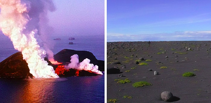 Необитаемый остров в Исландии, которого не существовало до 1963 года: Сегодня попасть на него могут лишь пара человек