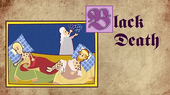 Vebanın Geçmişi, Günümüz Hâli ve Geleceği