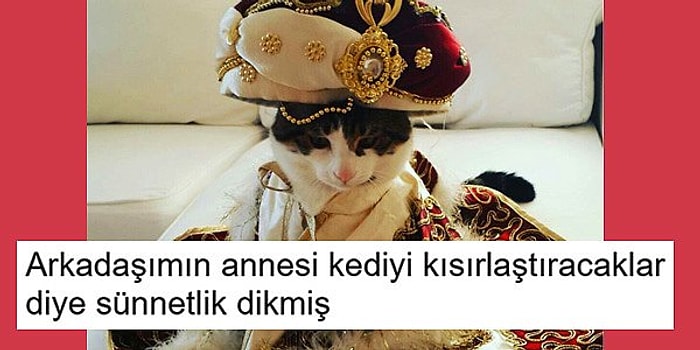 Evcil Hayvanlarıyla Yaşadıkları Komik ve Tatlı Anları Paylaşarak Herkesi Güldüren 15 Kişi