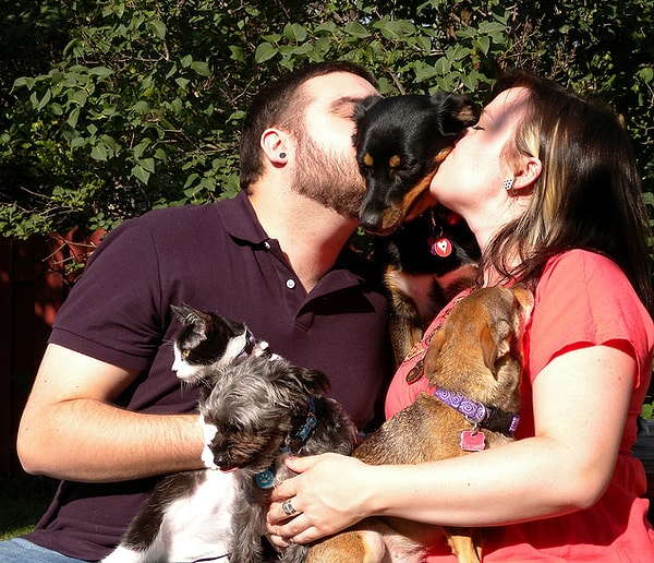 14. Судя по ответам, вам и с домашними питомцами не будет скучно :)