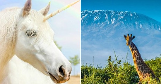 Правда или ложь: Этот тест проверит вас на общие знания