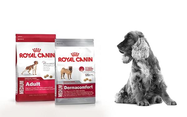 Doğru mama ve köpeğinizin cinsine uygun doğru beslenme yöntemlerini öğrenmek için Royal Canin'in web sitesine göz atabilirsiniz.