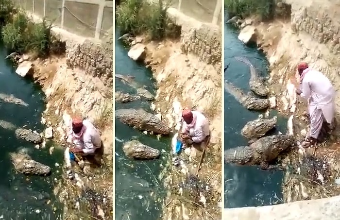 Timsahları Elleriyle Besleyen Yürek Yemiş Adam