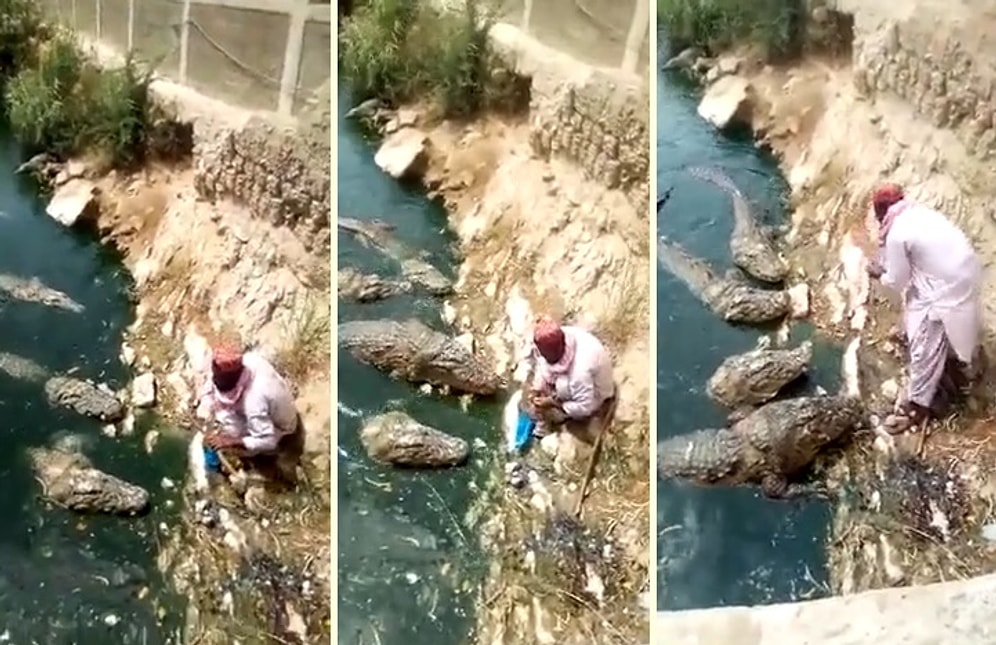 Timsahları Elleriyle Besleyen Yürek Yemiş Adam