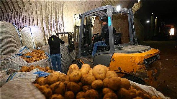 Suriye'den ithal edilen patatesler hakkında Gıda Mühendisleri Odası İzmir Şubesi bir açıklama yaptı.