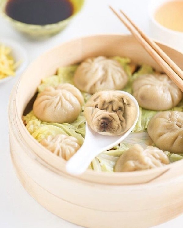 5. Похоже, мы теперь тоже будем постоянно видеть в своих тарелках милых псов