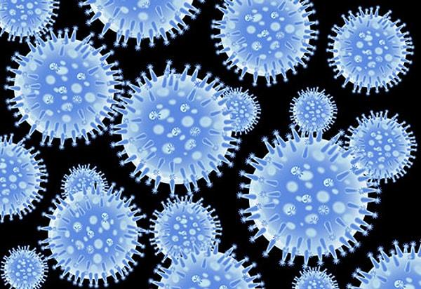 Uçuğa sebep olan herpes virüsü, çok tehlikeli ve kalıcı etkilere sahip.