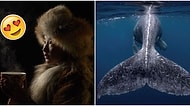 National Geographic 2018 Yılı En İyi Seyahat Fotoğrafçısı Kazananlarını Açıkladı!